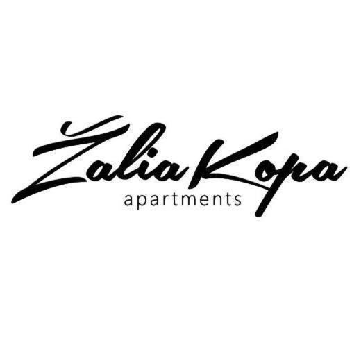 פלאנגה Zalia Kopa Apartments מראה חיצוני תמונה
